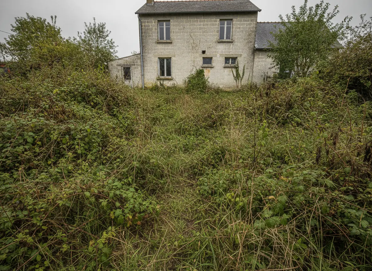 Terrain arrière envahi par des ronces épaisses et de hautes herbes derrière une maison à Beauvais, avant débroussaillage